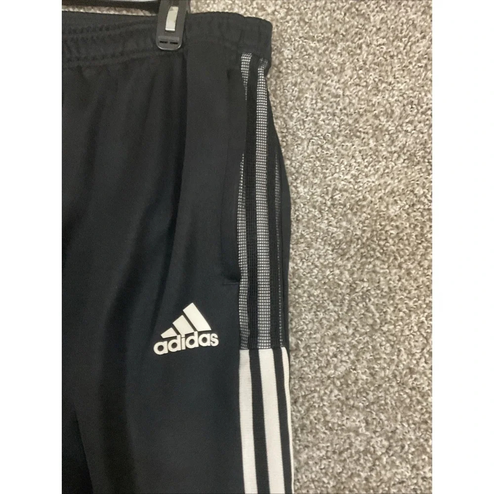 adidas primegreen track